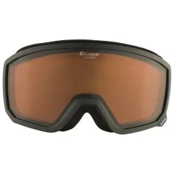 Alpina Scarabeo S Doubleflex Hicon S2 - Skibrille