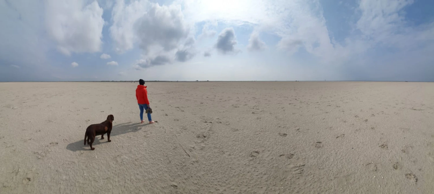 Patagonia Women's Down Sweater Hoody - Daunenjacke 11 Patagonia Women's Down Sweater Hoody - Daunenjacke – Bild 11